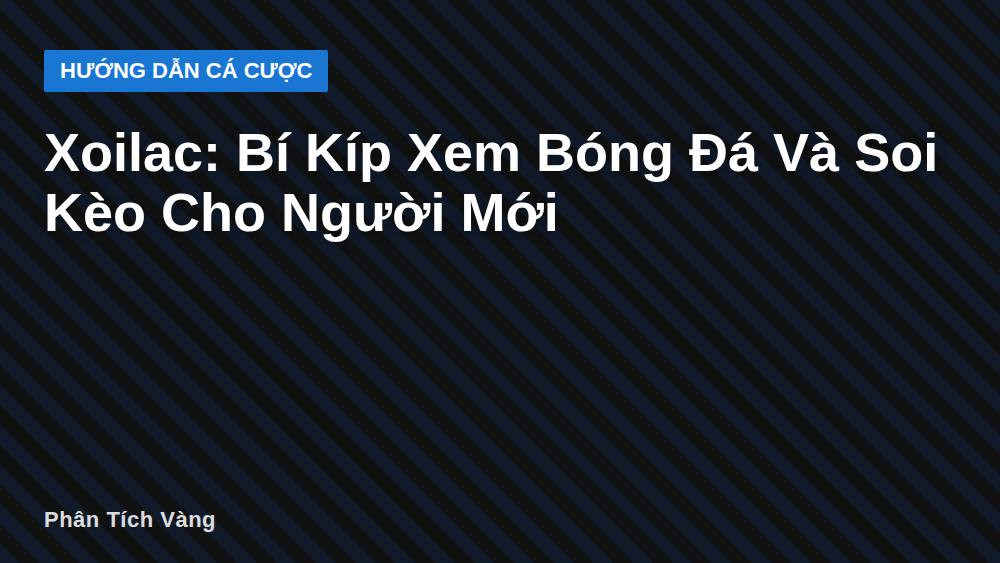 Xoilac: Bí Kíp Xem Bóng Đá Và Soi Kèo Cho Người Mới